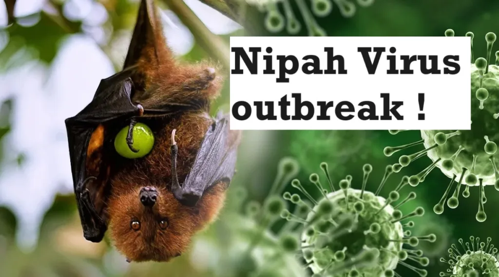 Nipah virus outbreak