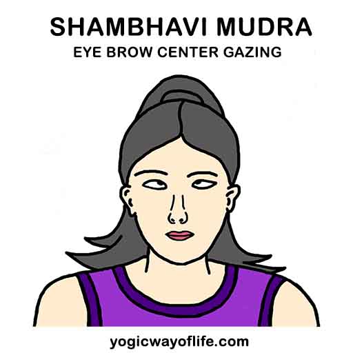 Shambhavi Mudra 1